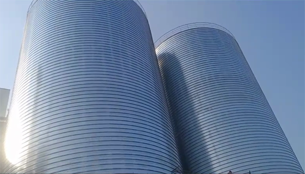 旺苍2座混凝土高架卷板仓