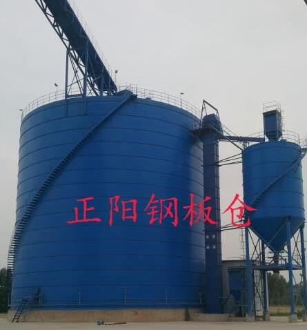 旺苍大型矿粉钢板库